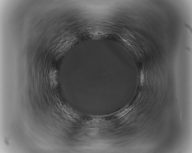 X0000102241346200807251250