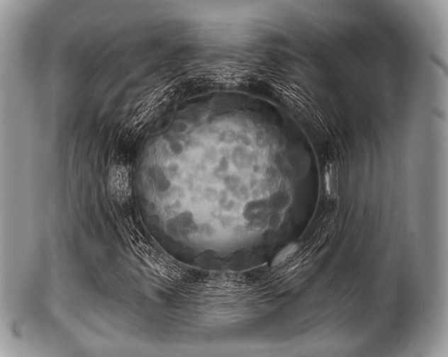 X0000102241347200807251250