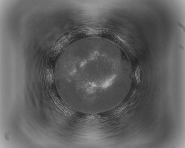 X0000102241348200807251250