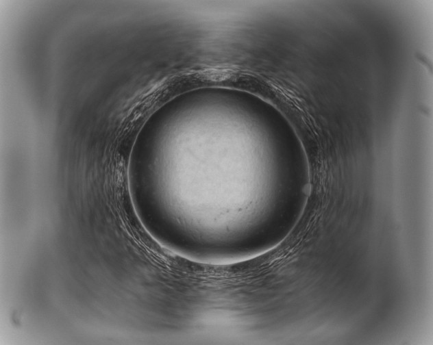 X0000102241349200807251250