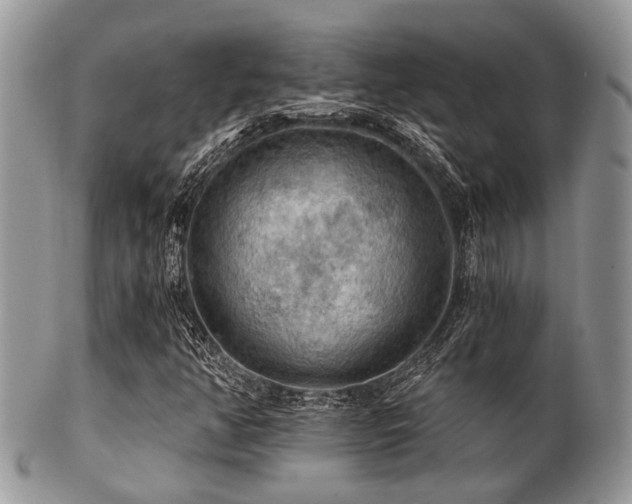 X0000102241350200807251250
