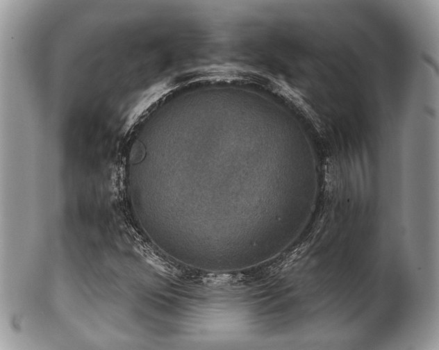 X0000102241352200807251250