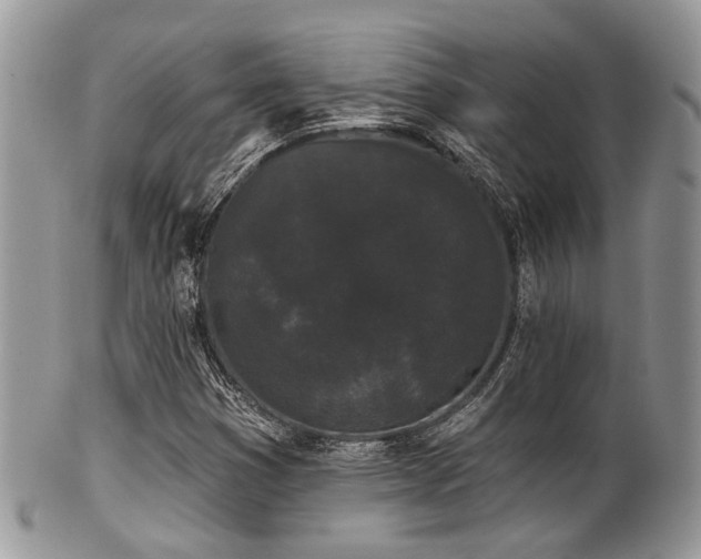 X0000102241353200807251250