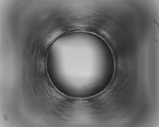 X0000102241354200807251250