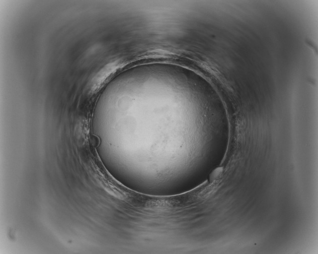X0000102241355200807251250