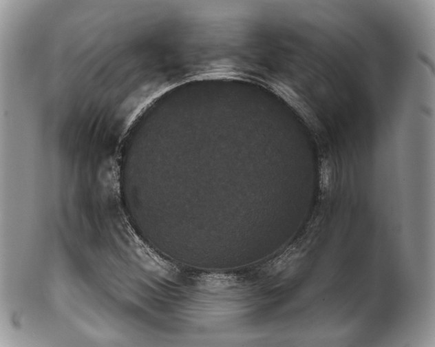 X0000102241356200807251250
