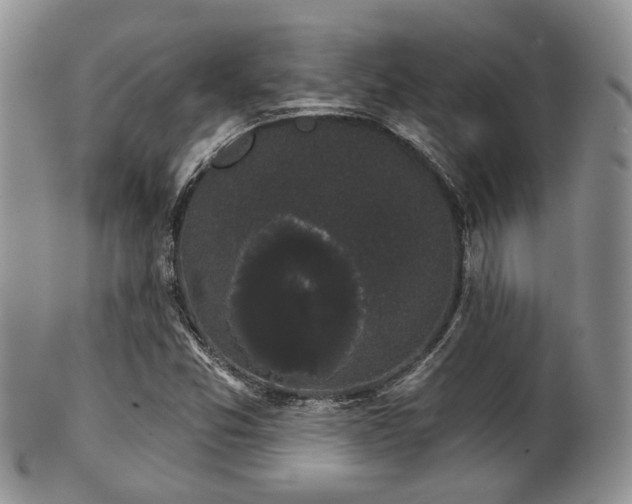 X0000102241357200807251250