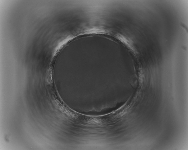 X0000102241358200807251250