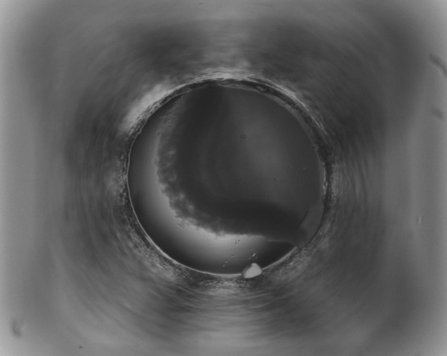 X0000102241359200807251250