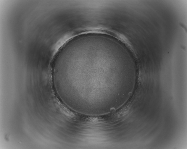 X0000102241360200807251250