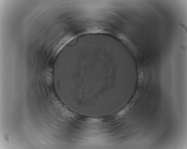 X0000102241361200807251250