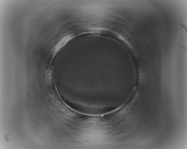 X0000102241362200807251250