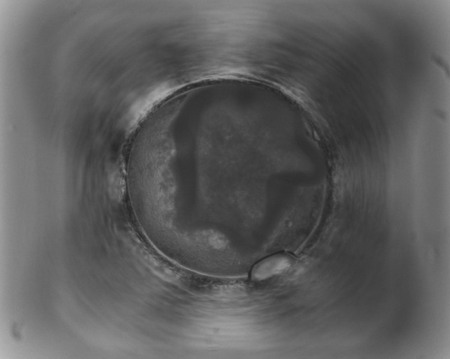 X0000102241363200807251250