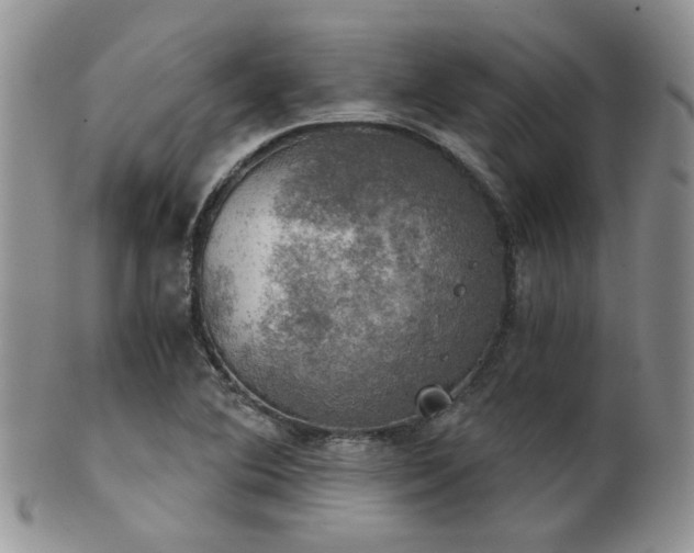X0000102241364200807251250