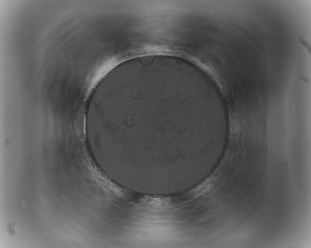 X0000102241365200807251250