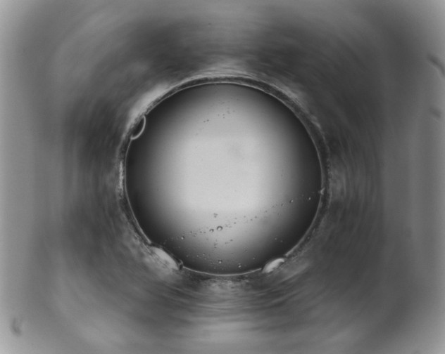 X0000102241366200807251250