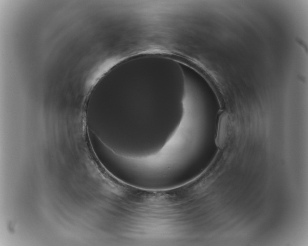 X0000102241367200807251250