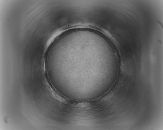 X0000102241368200807251250