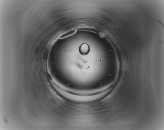 X0000102241369200807251250