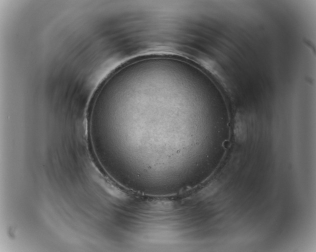 X0000102241372200807251250