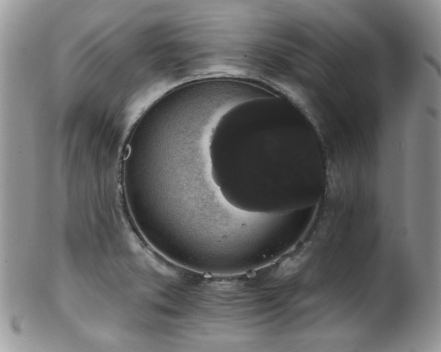 X0000102241373200807251250