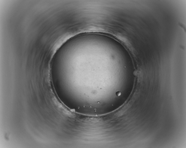 X0000102241374200807251250