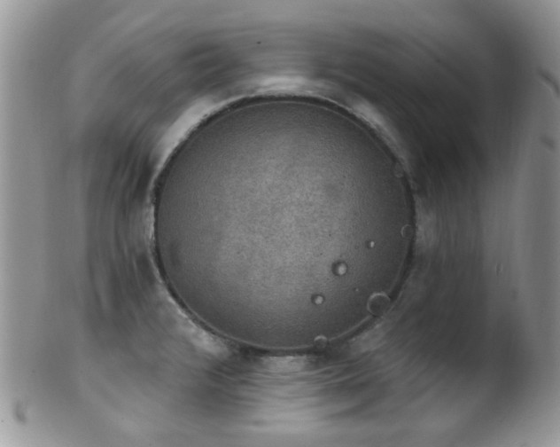 X0000102241376200807251250