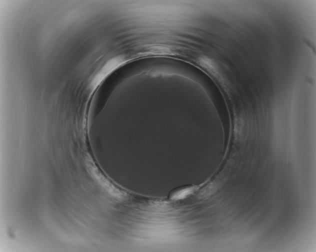 X0000102241378200807251250