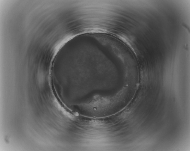 X0000102241379200807251250