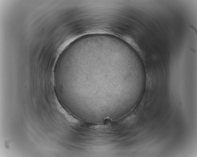 X0000102241380200807251250