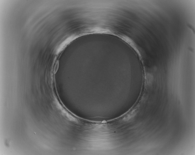 X0000102241381200807251250