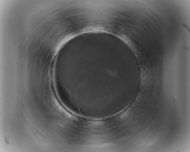 X0000102241382200807251250