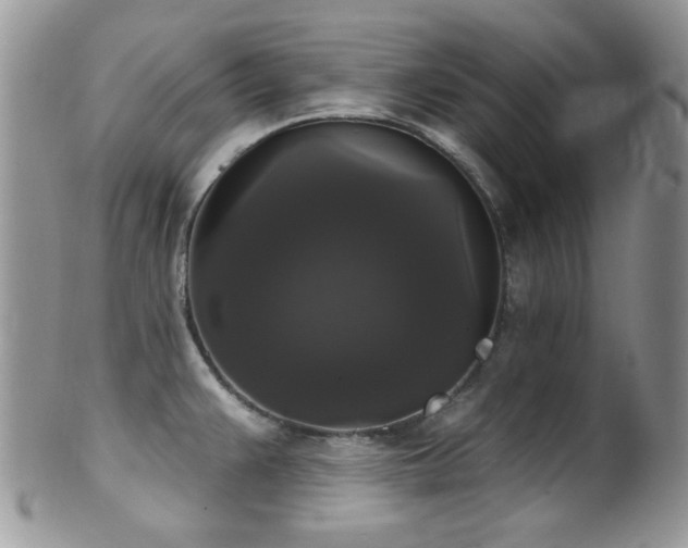 X0000102241383200807251250