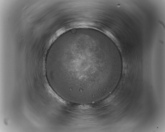 X0000102241384200807251250