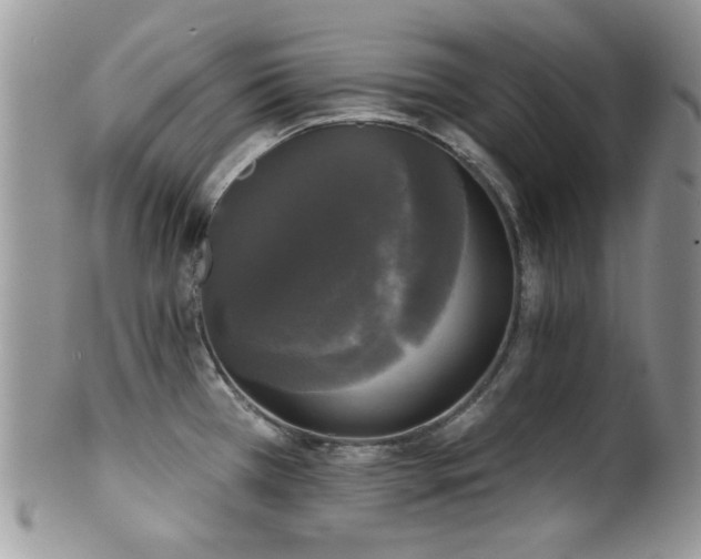 X0000102241385200807251250