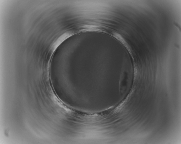 X0000102241386200807251250