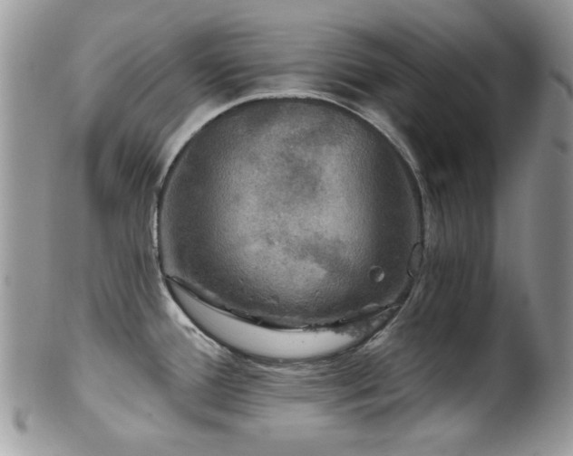 X0000102241388200807251250