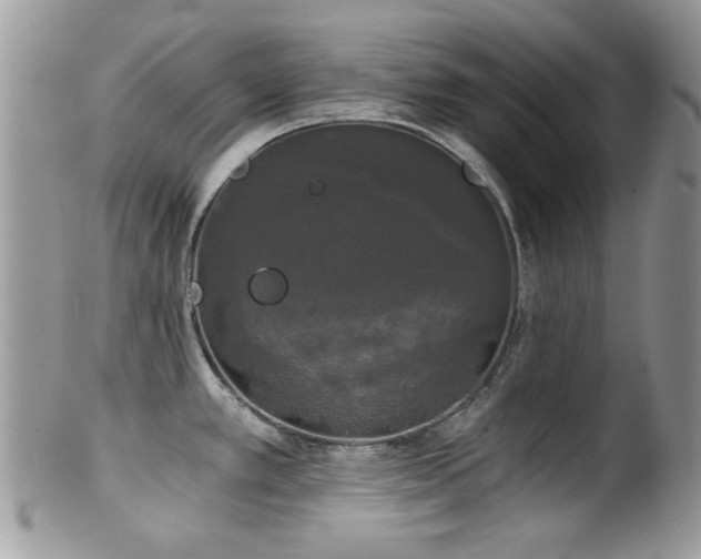 X0000102241389200807251250