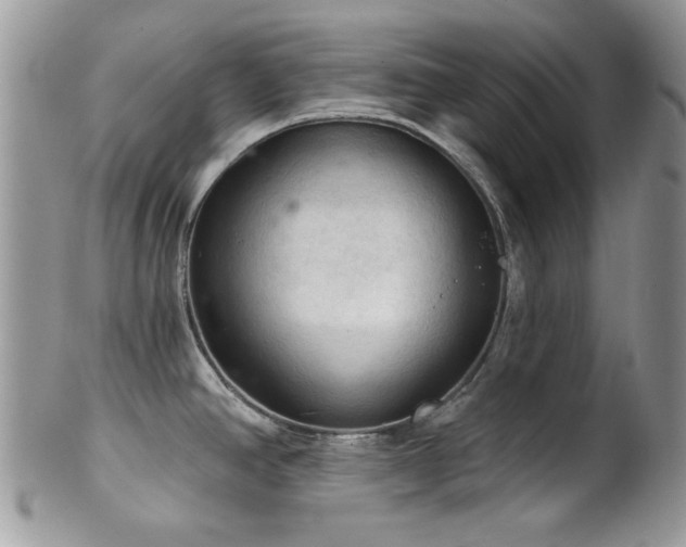 X0000102241390200807251250