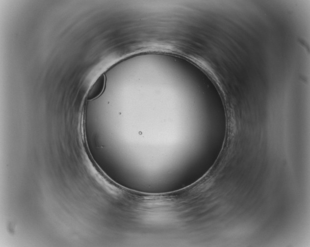X0000102241391200807251250