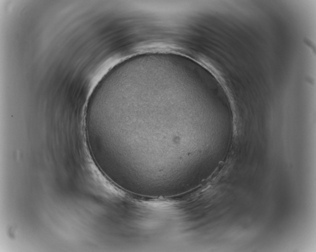 X0000102241392200807251250