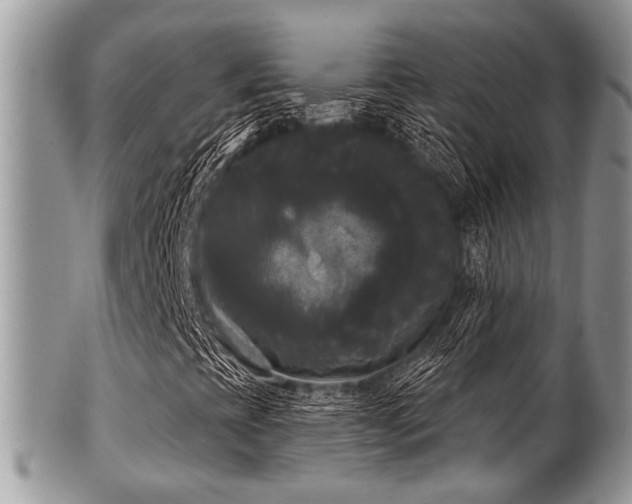X0000102241393200807251249