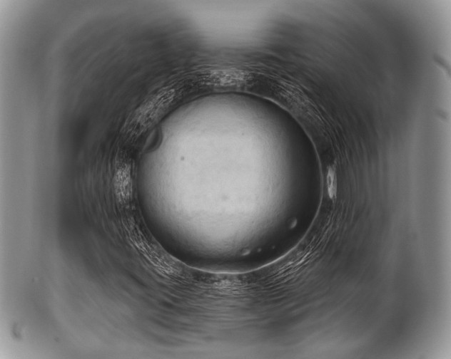 X0000102241395200807251249