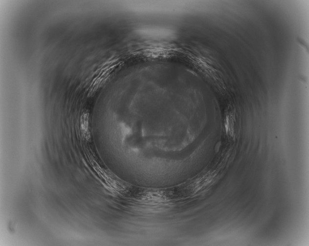 X0000102241396200807251249