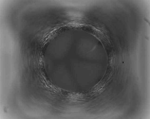 X0000102241397200807251249