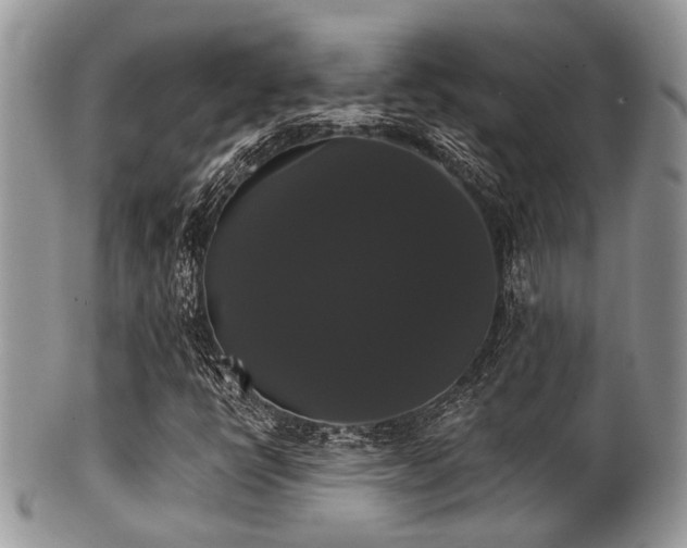 X0000102241398200807251249