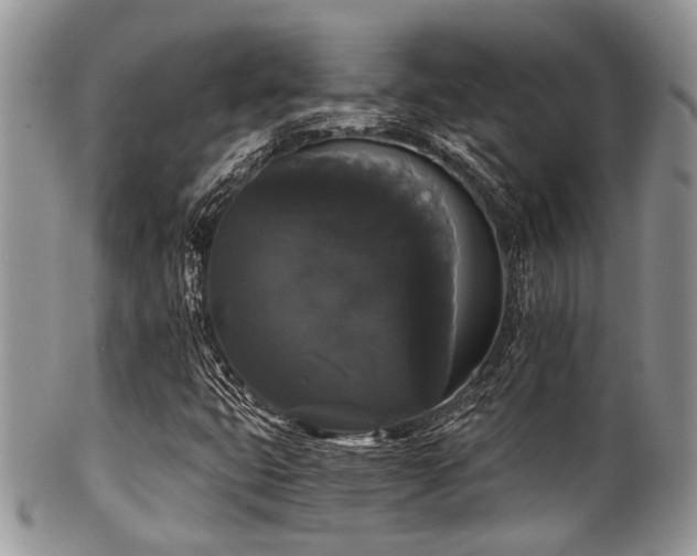 X0000102241399200807251249