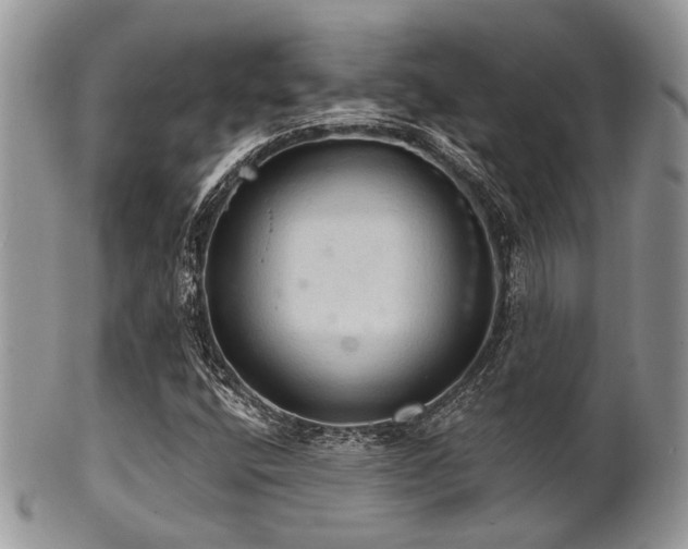 X0000102241400200807251249