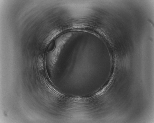 X0000102241401200807251249