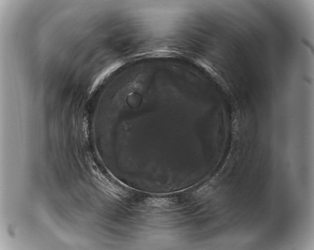 X0000102241402200807251249